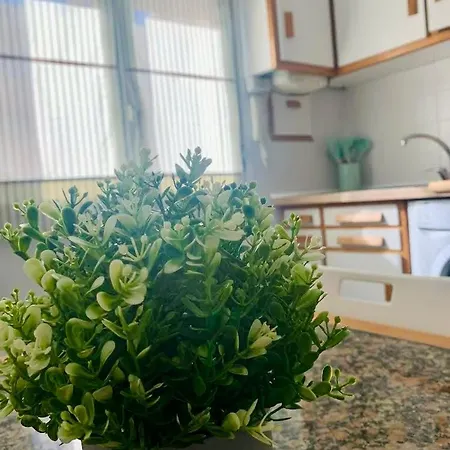 Apartamento Amplio 3 Cerca De La Playa Con Garaje Gijón