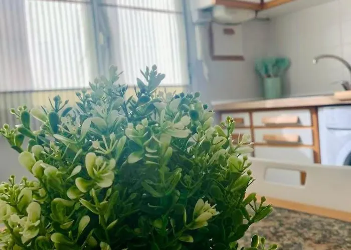 Apartamento Amplio 3 Cerca De La Playa Con Garaje Gijón